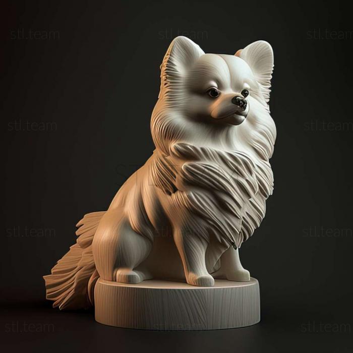 3D model German Spitz dog (STL)